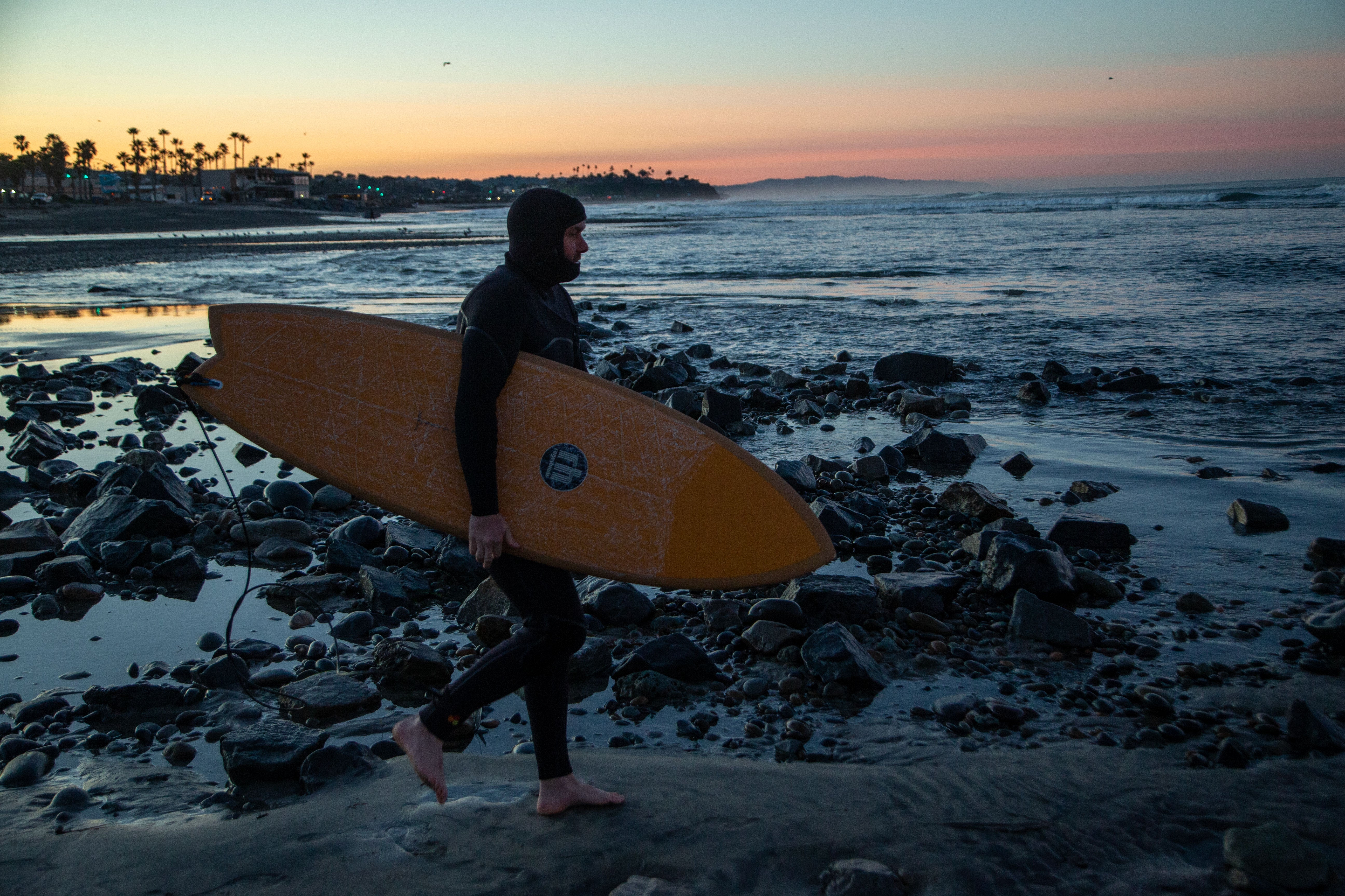 Dream Fish Fusion-HD Roger Hinds