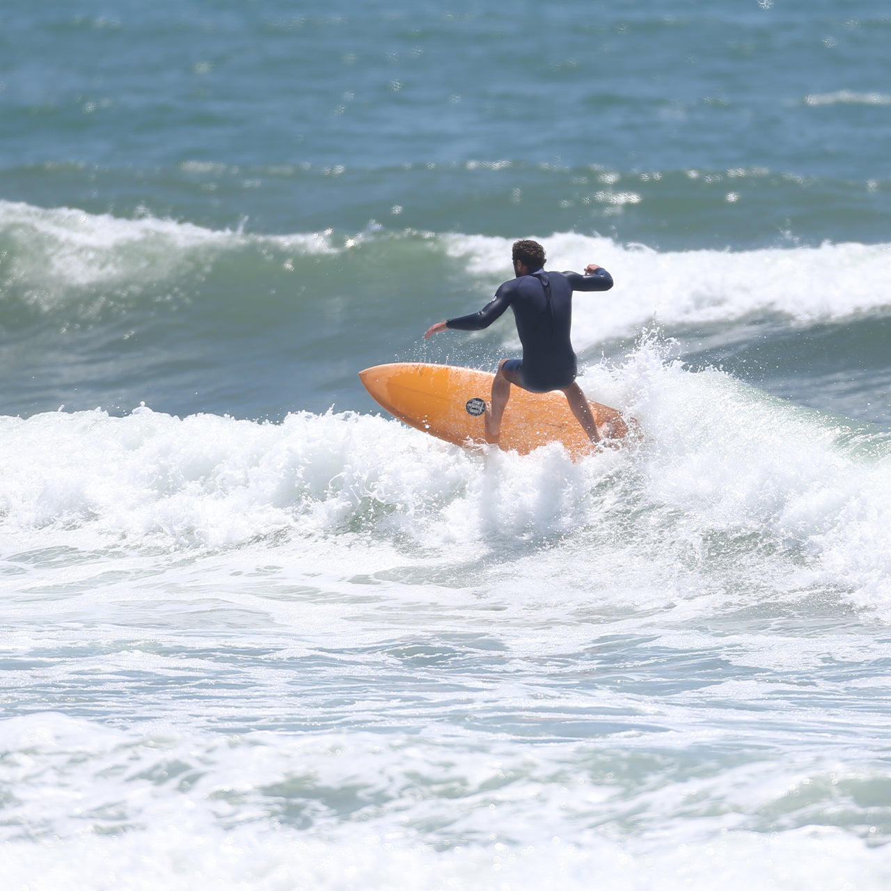 Dream Fish Fusion-HD Roger Hinds