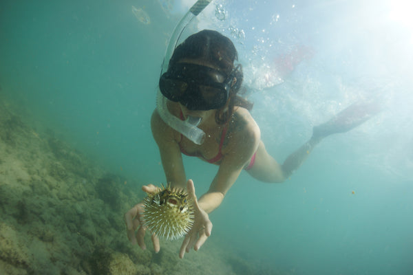 Your Aquatic Playground: 5 Tips to Plan an Incredible Aqua-venture with Jessica Cichra