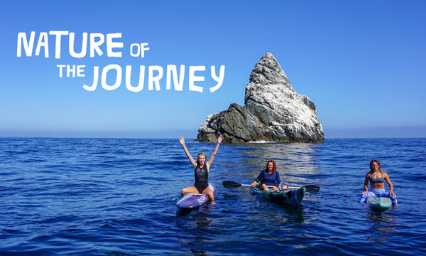 Nature Of The Journey: Paddle Around Catalina Islands