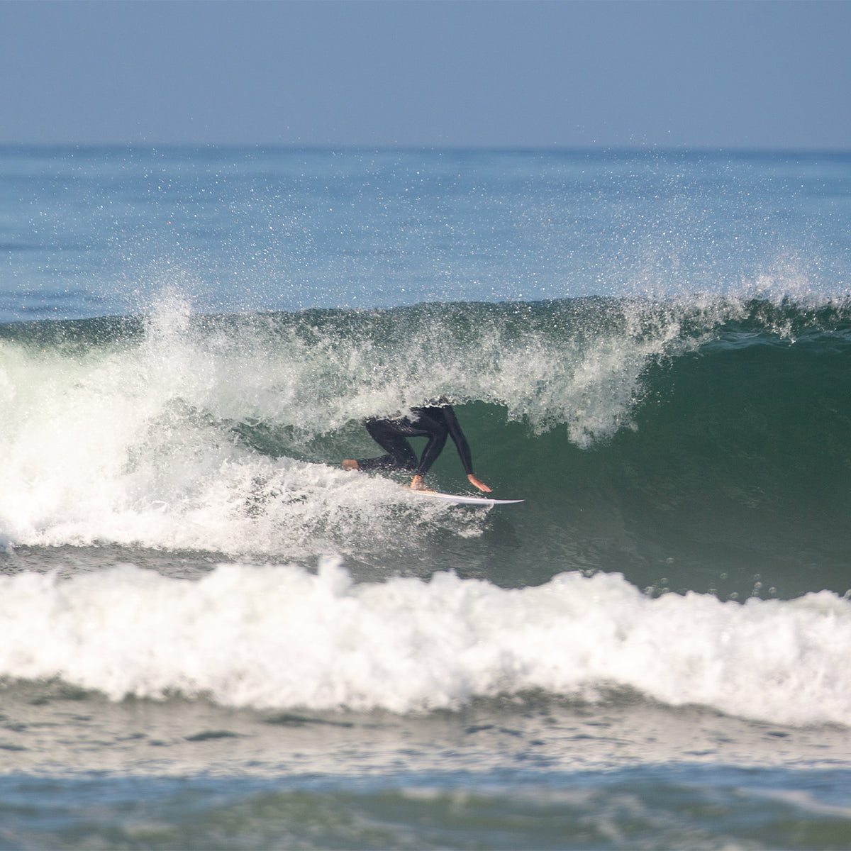 Wayne Rich x Surftech - The Singularity Pin Tail Surfboard in Carbon