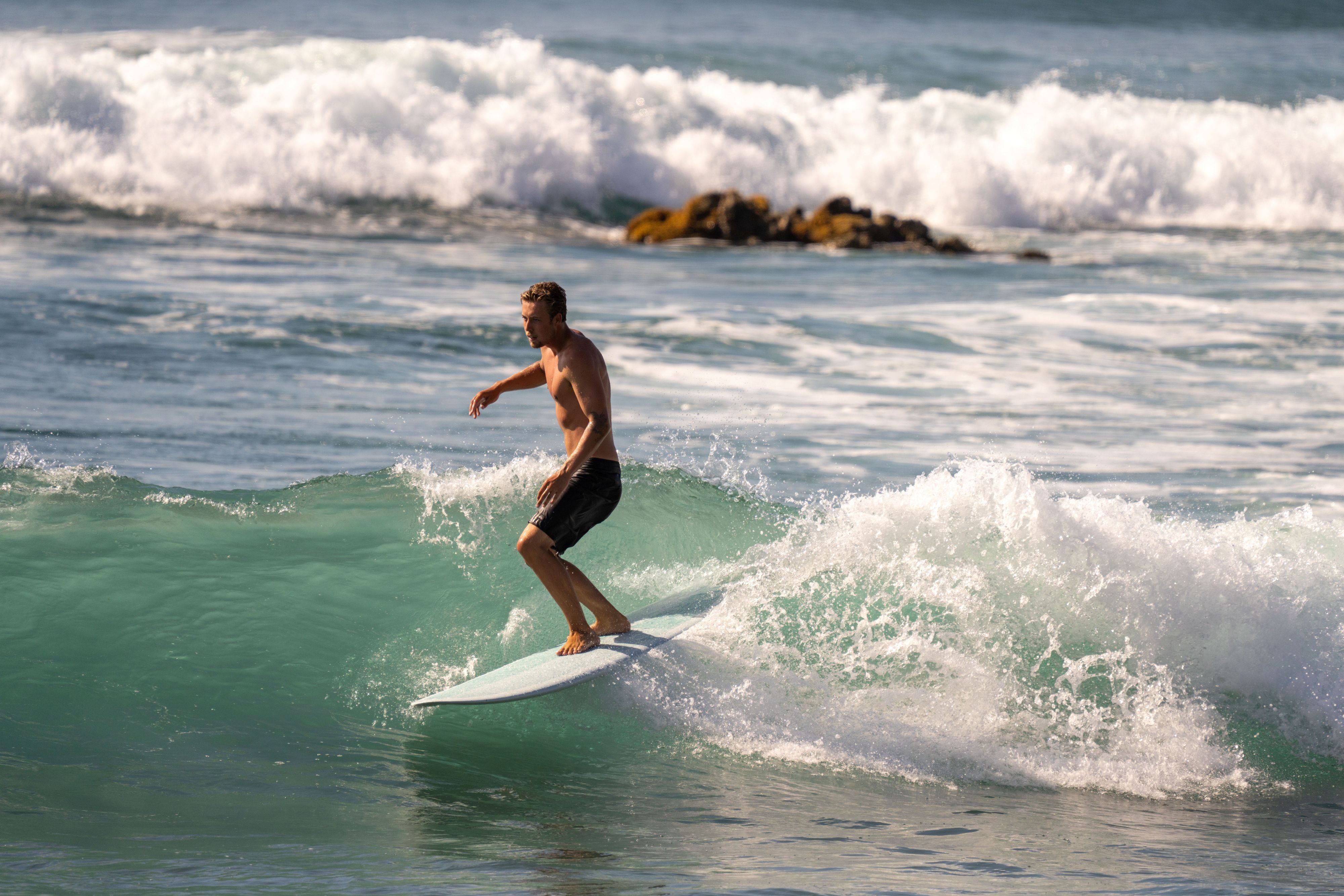 Surftech x Wayne Rich Wildcard 3 Longboard | Lightweight Tuflite