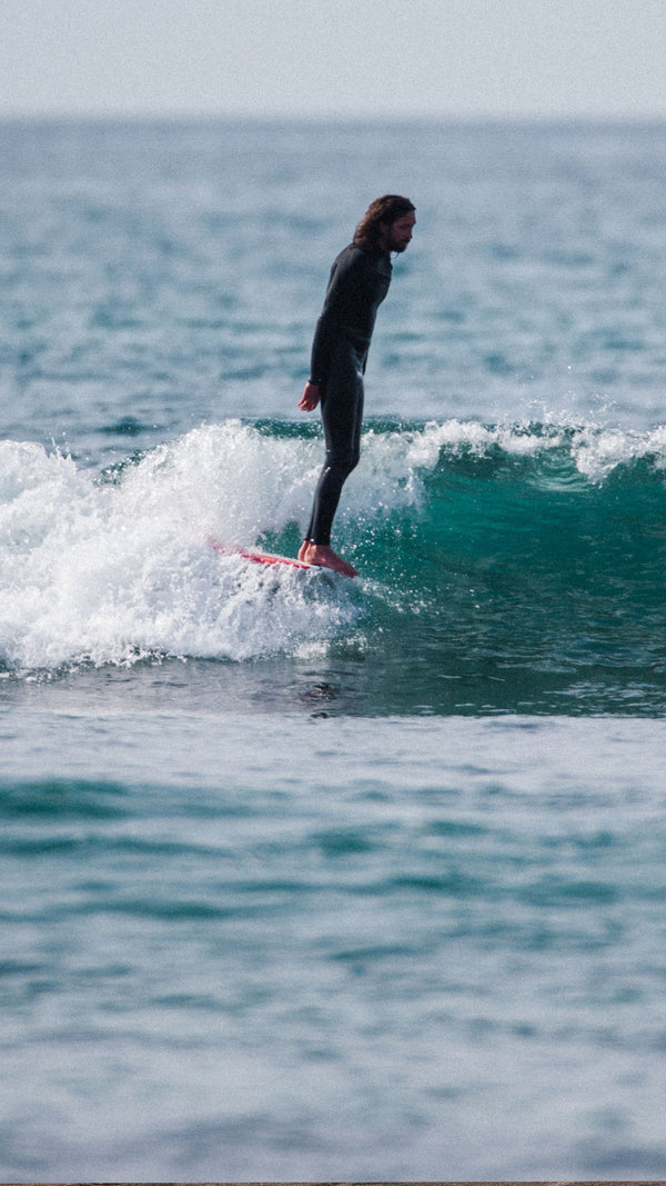Surftech  Surf - SUP - Prone - Foil