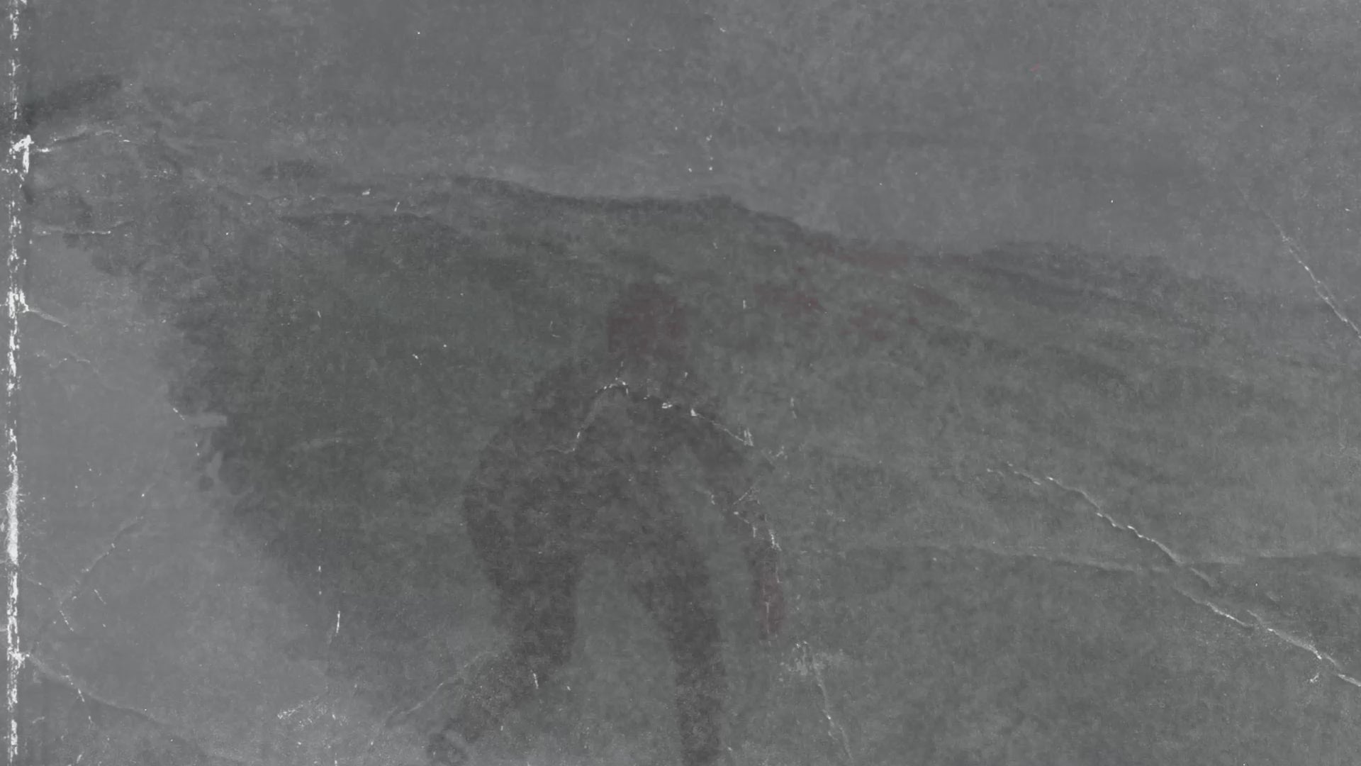 Surftech | Surf - SUP - Prone - Foil